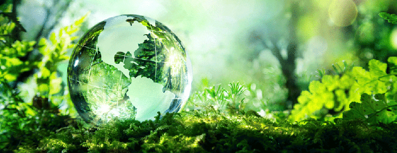 La OMA celebra el Día Mundial del Medio Ambiente