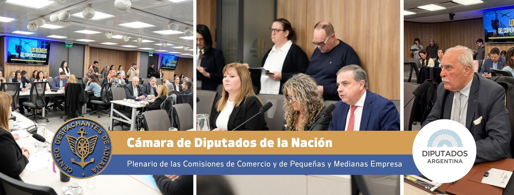REPRESENTANTES DEL SECTOR ADUANERO EXPUSIERON EN REUNIÓN CONJUNTA DE COMERCIO Y PYMES