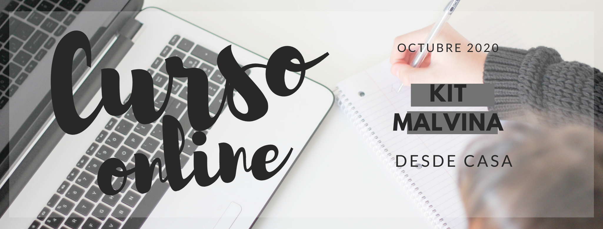 Segunda Edición: Curso ONLINE de Operación de declaración detallada MALVINA / MARIA