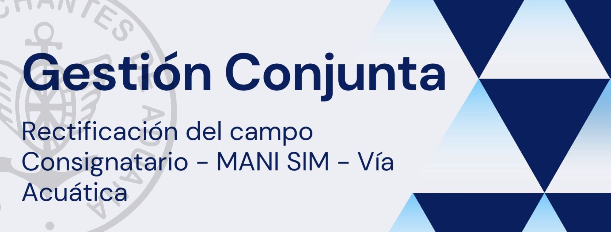 GESTIÓN CONJUNTA: Rectificación del campo Consignatario - MANI SIM - Vía Acuática