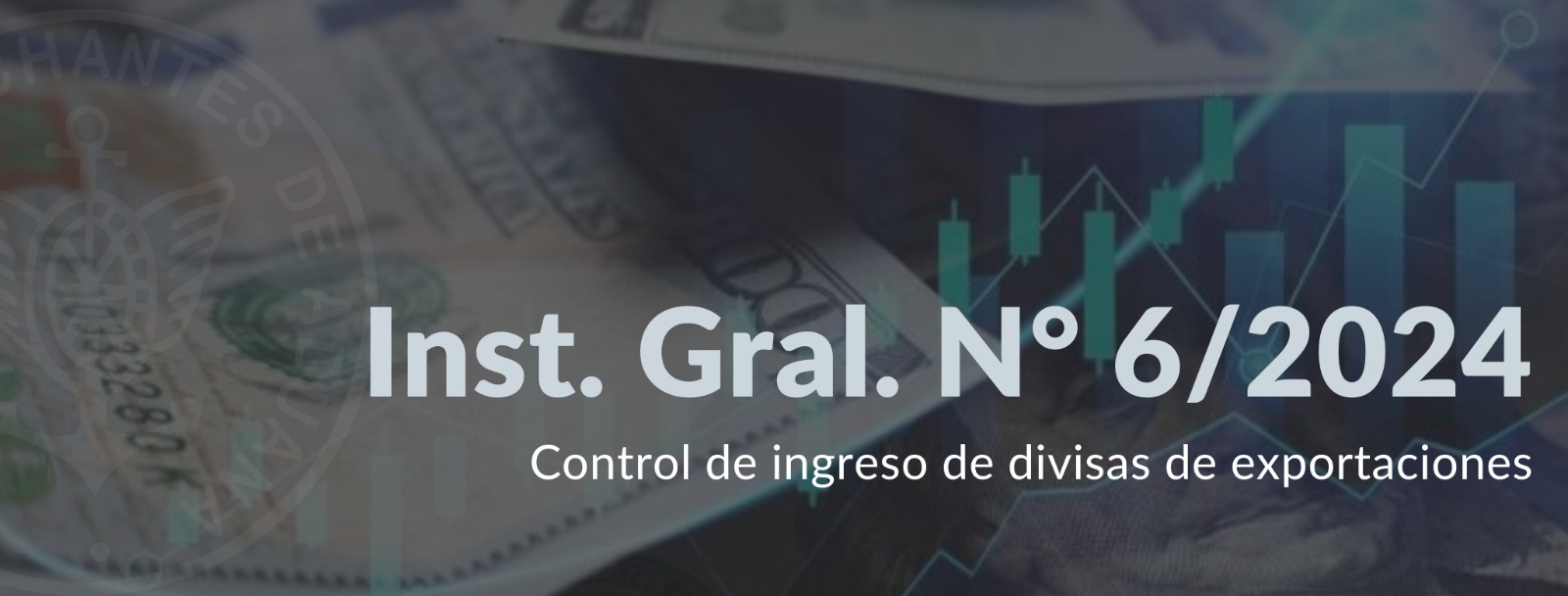 Inst. Gral. N° 6/2024: Control de ingreso de divisas de exportaciones