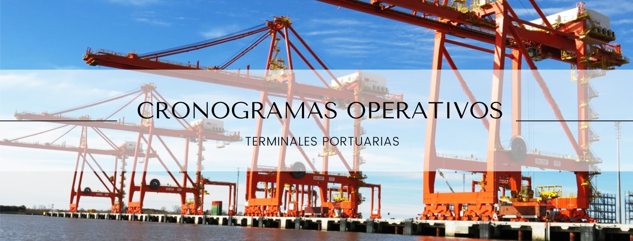 Cronogramas operativos de las Terminales Portuarias para el 