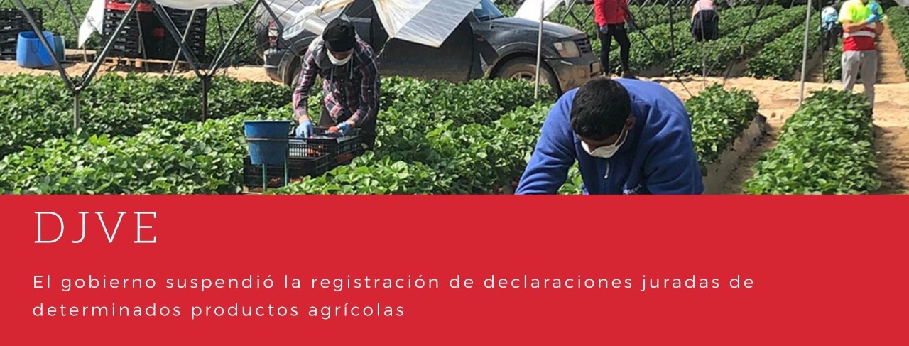 CDA - Centro Despachantes de Aduana de la Republica Argentina - DJVE ...