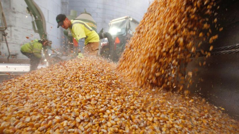 Se determinó la autoridad de aplicación y el procedimiento
