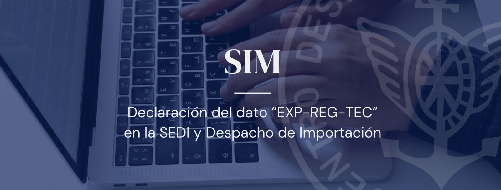 SIM: Declaración del dato “EXP-REG-TEC” en la SEDI y Despacho de Importación