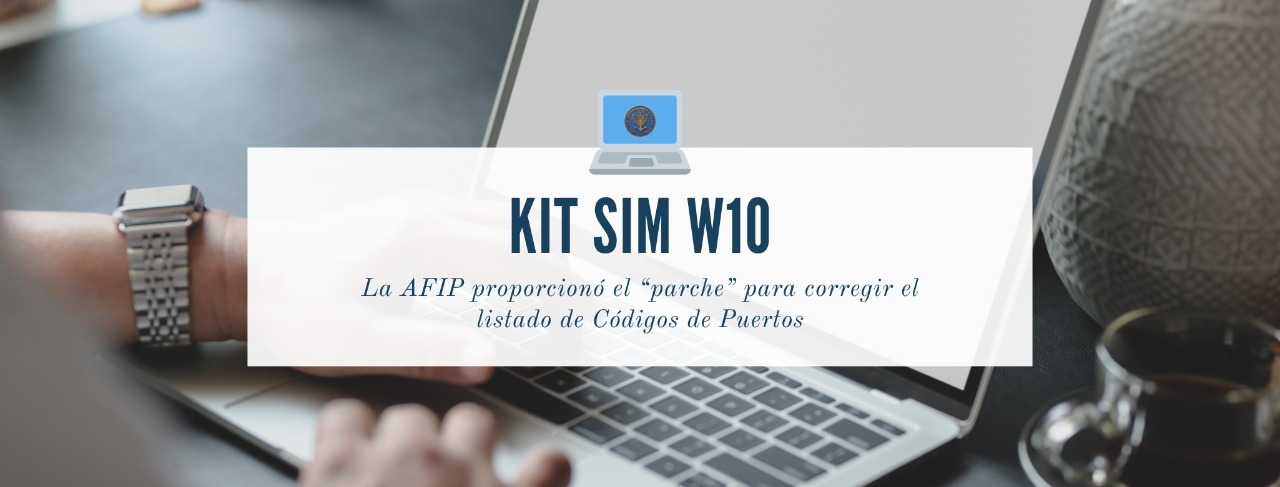 KIT SIM W10: La AFIP proporcionó el “parche” para corregir el listado de Códigos de Puertos