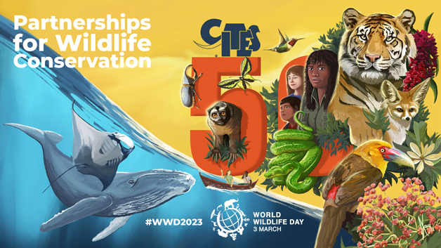 La OMA celebra el Día Mundial de la Vida Silvestre en apoyo 