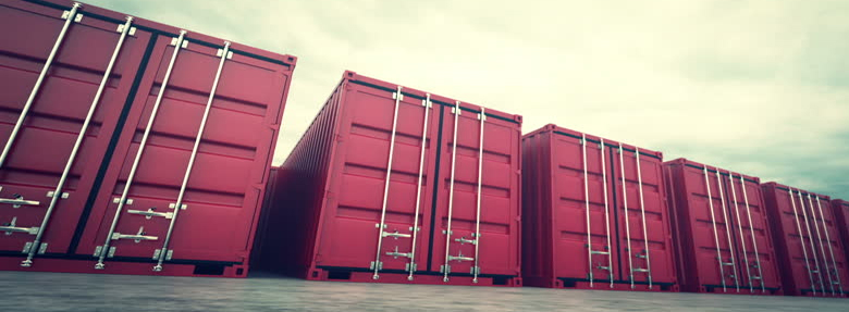 Nuevo sistema de importación: denuncian demoras en el ingre