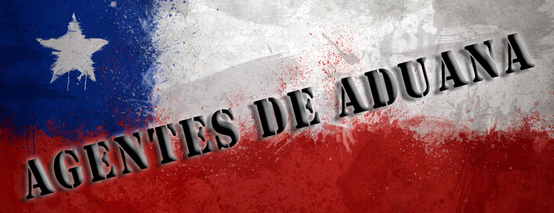 Agentes de Aduana: Ministros de Fé